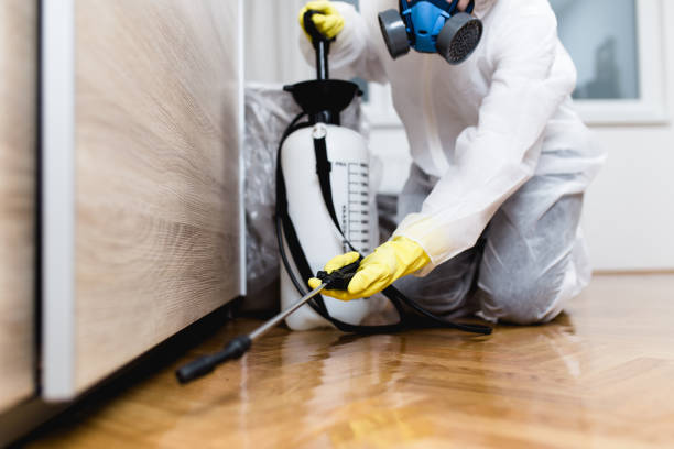 Trusted Wewahitchka, FL Pest Control Experts