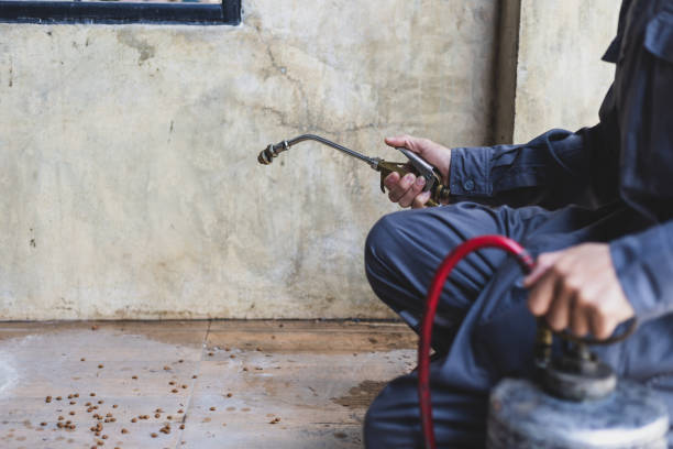 Best Affordable Pest Control Services  in Wewahitchka, FL